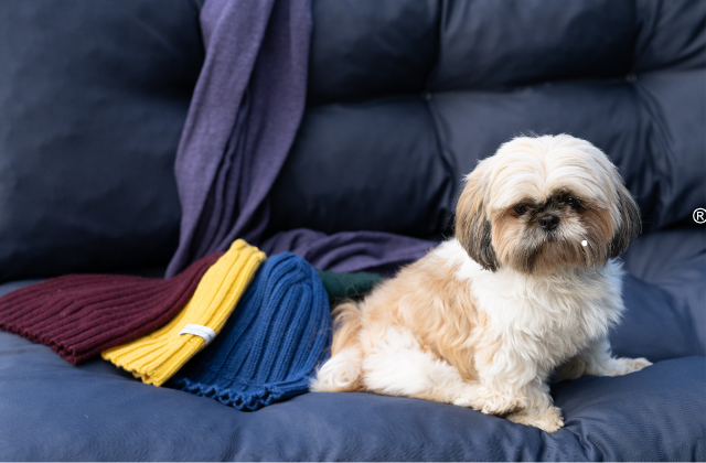 Cashmere Beanies Category